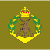 ANZAC Forces