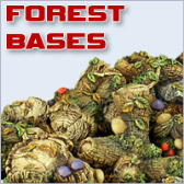 Forest Bases