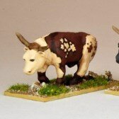 Animals, Azande & Dinka