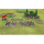 Zaporozhian Cossacks: Cossack Skirmish Set: Upgrade