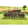 By Fire & Sword: Winged Hussars