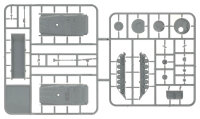 BMP-1/BMP-2  Sprue