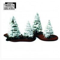 Young Winter Fir Trees (x5)