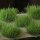 Gamer`s Grass: Strong Green 12mm XL Tufts Wild