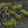 Gamer` s Grass: Dark Moss 2mm