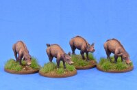 Pigs (x4)
