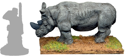 Rhinoceros