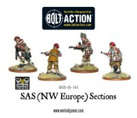 SAS (NWE) Sections