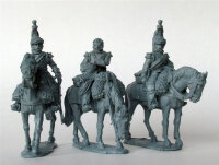 Cuirassiers on Standing Horses in Reserve - at Ease 2