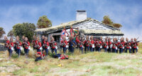 British Infantry (Zulu War) 1877-1881