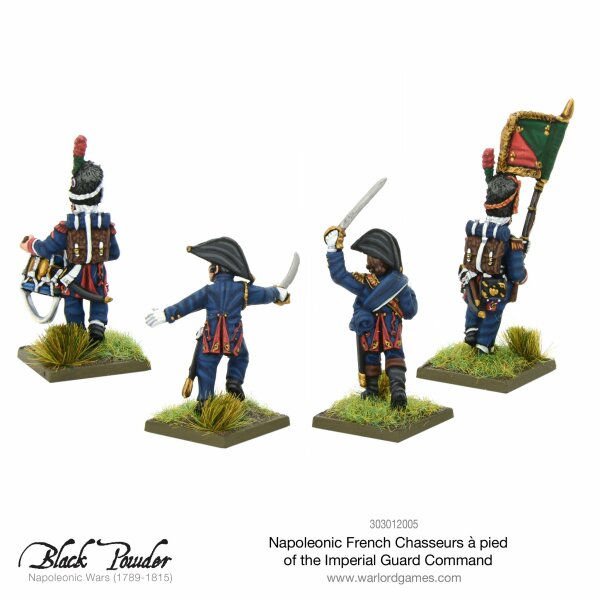 Napoleonic French Chasseurs a Pied of the Imperial Guard Command