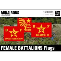 1/100 Female Battalions Flags