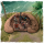 Blood & Plunder: Gun Emplacement