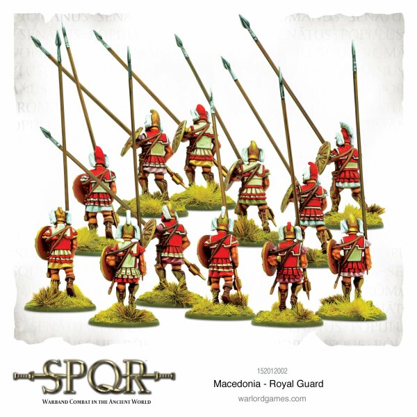 Macedonia Heroes *S.P.Q.R* Warlord Games 