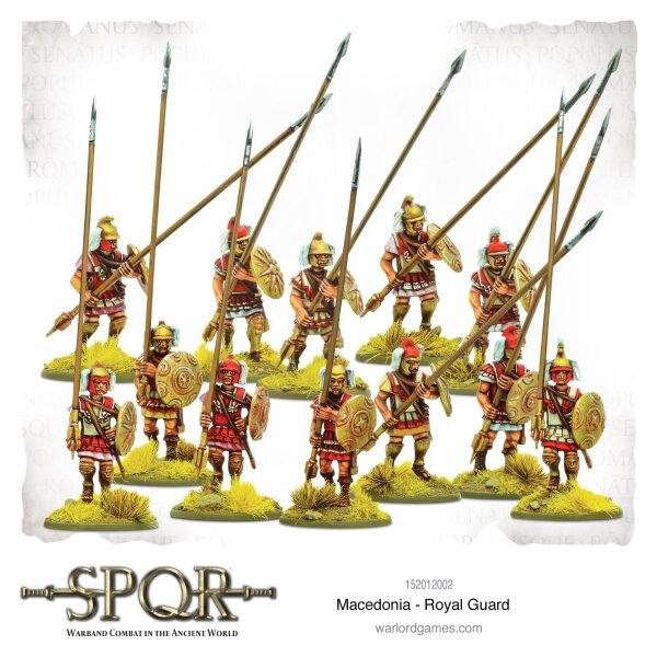 SPQR: Macedonia - Royal Guard