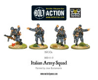 Italian Army Infantry Section