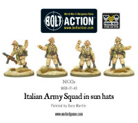 Italian Army Infantry Section