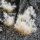 Gamer´s Grass: Spikey Winter Tufts (12mm)