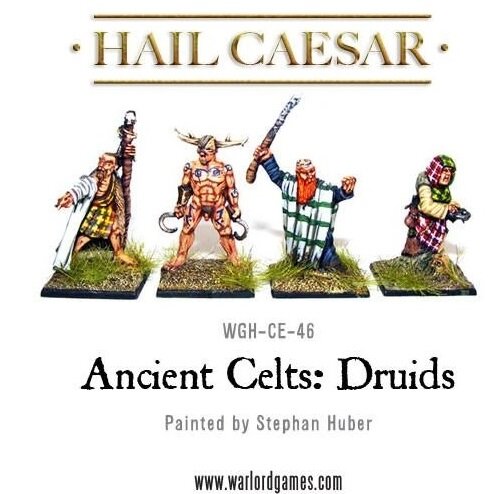 Ancient Celts: Druids