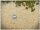 6`x 4` Game Mat: Beach