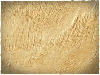 6`x 4` Game Mat: Desert