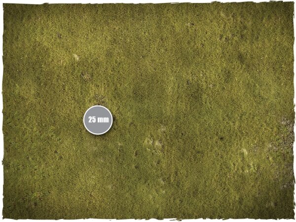 6`x 4` Game Mat: Plains