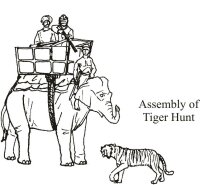 Tiger Hunt Elephant