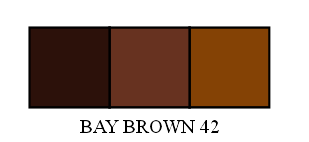 Bay Brown Light 42C