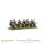 Colonial Provincial Regiment