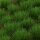 Gamers Grass: Strong Green 6mm Tufts Wild
