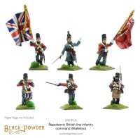 Napoleonic British Line Infantry Command (Waterloo)