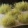 Gamers Grass: Light Green 12mm XL Tufts Wild