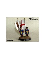 1/100 Gen. Deputation IR flags