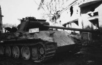 13. Panzerdivision Feldherrnhalle Tokens (x20) &...