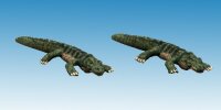 Dwarf Crocodiles