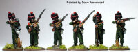 1st Nassau-Usingen Regt. Grenadiers, Firing Line