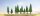 Essentials: Small Pine Wood  (Limited Edition)