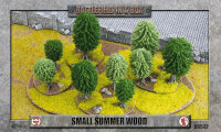 Battlefield in a Box: Small Summer Wood