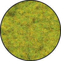 Essentials: Small Summer Wood (Limited Edition)