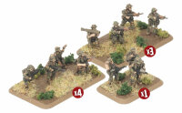 Mechanised Platoon (Australian)