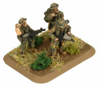 Mechanised Platoon (Australian)