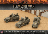 T30 75mm Assault Gun Platoon (MW)