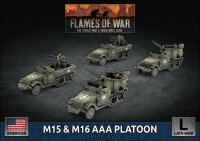 M15 &amp; M16 AAA Platoon