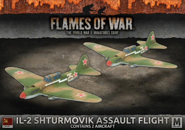 Il-2 Shturmovik Assault Flight (MW)