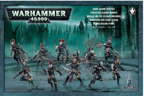 Drukhari: Wyches / Hagashin der Dark Eldar