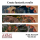 Army Painter: Most Wanted Brush Set
