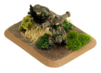 US Marine Weapons Teams