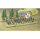Holy Roman Empire: Imperial Infantry