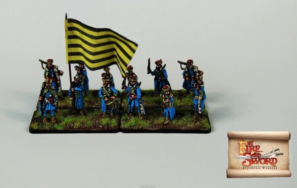 Principality of Transylvania: Transylvanian Household Infantry