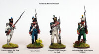 French Napoleonic Infantry Battalion 1807-14